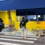 PRF apreende quase 500 quilos de droga em veículo de carga na BR-364 em Pimenta Bueno Agentes da Polícia Rodoviária Federal armados em frente ao posto policial, junto a duas viaturas pretas e dezenas de pacotes de droga apreendidos dispostos no chão.