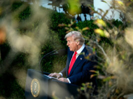 O que disse Trump sobre eleições brasileiras