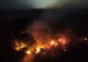 Amazonas registra aumento de 271% nos focos de incêndio em outubro; fumaça afeta saúde da população Vista aérea noturna de uma extensa área de floresta em chamas, com grandes focos de fogo alaranjado e muita fumaça subindo pelo escuro.