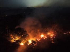 Amazonas registra aumento de 271% nos focos de incêndio em outubro; fumaça afeta saúde da população Vista aérea noturna de uma extensa área de floresta em chamas, com grandes focos de fogo alaranjado e muita fumaça subindo pelo escuro.