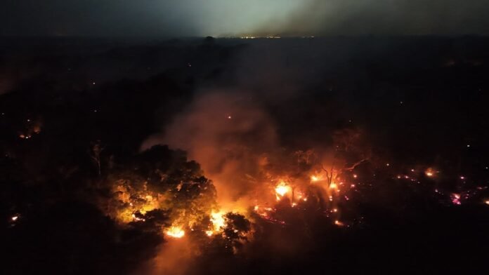 Vista aérea noturna de uma extensa área de floresta em chamas, com grandes focos de fogo alaranjado e muita fumaça subindo pelo escuro.