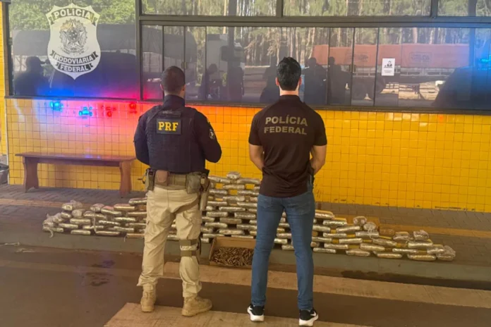 Policiais federais e rodoviários em frente a tabletes de droga apreendida