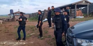 Polícia faz operação contra extração ilegal de madeira e queimadas no Parque Guajará-Mirim